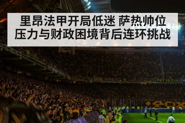 football stadium night crowd