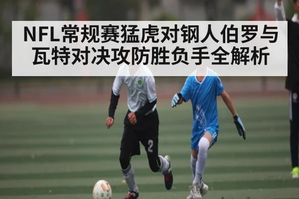 NFL常规赛猛虎对钢人伯罗与瓦特对决攻防胜负手全解析 - kaiyun